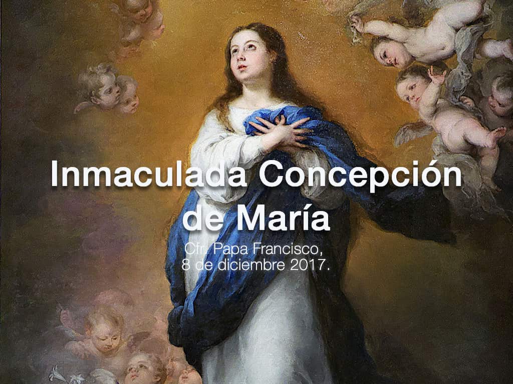 Artículo de Portada de Inmaculada Concepción 2019